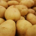 Hoss Tools Potato Growing Guide: 7 Proven Tips to Avoid Painful Peeling Mistakes