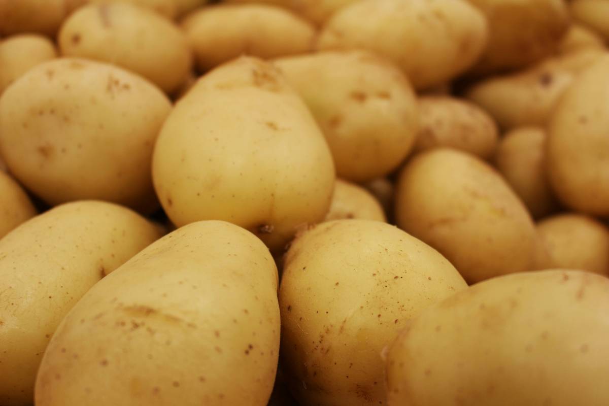 Hoss Tools Potato Growing Guide: 7 Proven Tips to Avoid Painful Peeling Mistakes